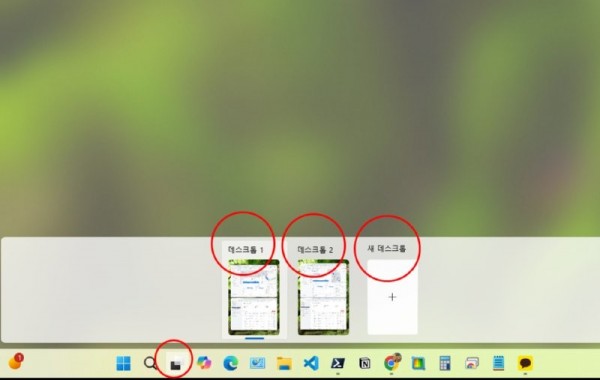 17531002500641.png